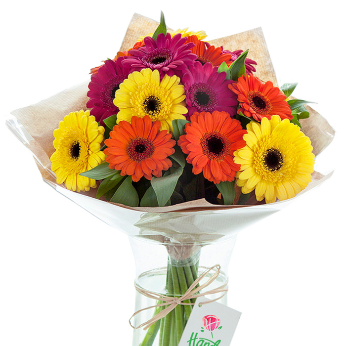 A celebratory arrangement of Gerbera daisies, vivid and full-bodied, rests elegantly in a clear glass vase against a crisp white background, capturing the vibrant charm of East Finchley. The bouquet highlights a medley of large Gerbera blooms in radiant yellow, bold orange, and deep fuchsia, each with a dramatic, dark centre that anchors the bright petals and creates visual rhythm. Sprigs of lush, richly hued foliage wind between the flowers, contributing layers of texture and a sense of organic abundance-evoking the flowering borders of Alexandra Park. The arrangement is thoughtfully wrapped in gently crumpled kraft paper, its natural hue complemented by a glossy layer of cellophane that flares softly around the blossoms, ensuring protection and an inviting shimmer. The gathered stems, visible through fresh water in the vase, are secured with a band of raw twine knotted simply around the middle. Hanging subtly from the tie, a small white gift tag displays a red rose insignia and partially obscured handwritten text-suggesting this is a gift prepared with care. The soft, even illumination enhances the bouquet's saturated colours and makes the arrangement feel fresh and uplifting, ideal for marking special occasions or brightening homes along East End Road or Muswell Hill. Each element, from the bold florals to the tactile wrapping, is a testament to the artistry and local know-how found at East Finchley Flowers.