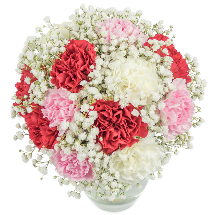 Capturing the subtle elegance and welcoming feel of East Finchley, this bouquet blends tradition with a fresh twist. Prominently displayed against a spotless white backdrop, it features dense clusters of carnation blooms in velvety crimson red, romantic blush pink, and creamy off-white. Ethereal sprigs of white gypsophila float amidst the larger blooms, their airy presence softening the bouquet and evoking the serene atmosphere along the footpaths of Cherry Tree Wood or in leafy stretches near East End Road. The rounded, almost spherical design exemplifies local florist expertise, achieving fullness and perfect balance while maintaining a sense of lightness. The glass vase is simple and clear, subtly revealing stems and gleaming water below, letting the focus remain on the luxurious blossoms above. Flooded by even, bright illumination, the colours and textures stand out vividly, suggesting freshness and artistry-just as you'd expect from East Finchley Flowers. Ideal for anniversaries, birthdays, or occasions that call for love, purity, and celebration, this arrangement speaks the language of flowers with sincerity and a graceful nod to the community it serves.