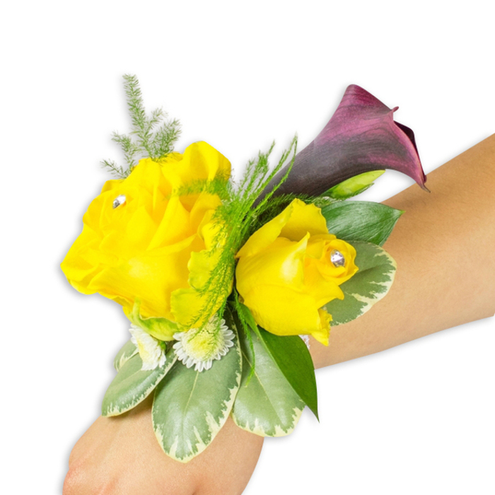 Presented diagonally from the bottom-left toward the middle-right of the frame on a light-skinned wrist, this meticulously arranged corsage pairs effusive yellow roses with a single, dramatic dark calla lily against a stark white backdrop. The leftmost rose is more open and generously petalled, while a slightly smaller, more cupped rose sits to its right; both blooms are punctuated by a single clear rhinestone set near each centre, adding a subtle, elegant glint. Behind and above the roses a plum-to-burgundy mini calla unfurls, its smooth trumpet-shaped form and satiny sheen creating a pleasing tension with the soft, layered roses. Lush greenery builds the corsage's structure: fine asparagus fern sprays lend feathered lightness around the top and rear, broader variegated leaves with pale, almost creamy margins form a sturdy base, and a few deep green leaves peek through to ground the palette. Tiny, white, button-like filler flowers - small spray chrysanthemums or baby's-breath-style clusters - nestle among the foliage, filling negative space and amplifying the arrangement's charm without overwhelming its compact silhouette. The wrist fastening is largely concealed beneath the plant material, implying a secure and comfortable fit ideal for weddings, proms, or special receptions. The image suggests a tactile contrast between silken petals, crisp variegation, and airy fern, with the roses' fresh fragrance faintly implied. As arranged by an East Finchley florist familiar with the High Road and nearby Cherry Tree Wood, this corsage balances joyful colour with refined detailing, making it a considered choice for an intimate ceremony or celebratory evening in the neighbourhood.