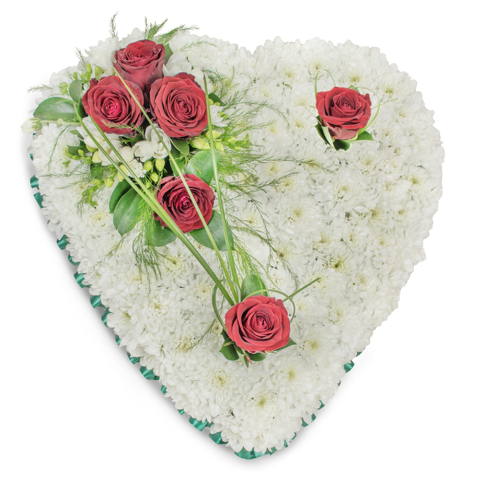 A classic memorial heart, densely packed with small, immaculate white chrysanthemums, presents as a smooth, cushion-like surface filling the entire heart shape against a pristine white backdrop. The chrysanthemums' tiny, layered petals create a tactile, almost cloud-like plane that invites touch and quiet reflection. On the upper left, a cluster of three deep red roses forms the arrangement's focal point; their fully unfurled petals and velvety texture stand out sharply against the white field and are interlaced with ferny greens, glossy ruscus leaves, and slender bear grass that curve outward to suggest gentle movement. Two additional red roses are placed with intention - one near the upper right curve and another at the lower point - each set apart to create balance and to draw the eye in a slow, deliberate sweep across the heart. A narrow emerald-green satin ribbon neatly edges the perimeter, its fine gloss delineating the form and lending a restrained elegance. The composition is lit from above with soft, even lighting that casts faint shadows between blooms, accentuating depth and the careful layering the florist has achieved. The scent is understated: the cool, floral sweetness of roses threaded with green, leafy notes from the foliage. This traditional tribute conveys solemnity and enduring affection, a piece you might see at a funeral cortege in East Finchley or placed at a memorial in nearby Fortis Green - an arrangement that holds memory with quiet dignity and expert craftsmanship.