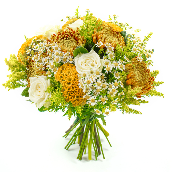 Set against a pristine white background, this hand-tied bouquet takes centre stage, its dome-shaped form packed with flowers that seem to glow with late-summer and early-autumn light, much like the soft sun settling over East Finchley in the evening. At the core of the arrangement, large chrysanthemums unfold in layers of closely packed petals, their colours shifting from deep golden yellow to warm pumpkin orange and rich, bronzed tones. These textured blooms create a sense of depth and structure, drawing the eye around the bouquet. Interwoven are creamy white roses, their petals satin-smooth and delicately cupped, bringing an air of classic refinement and providing a soothing contrast to the more rugged chrysanthemum heads. Standing out with their unusual shape, yellow-orange cockscomb celosia flowers rise between the other blooms, their plush, velvety ridges curving and folding like coral reef formations, adding a distinctive tactile element. Around and between the larger flowers, clusters of small white daisies with bright yellow eyes-matricaria or chamomile-like blooms-soften the composition, lending a relaxed, garden-picked feel. Lime-green solidago and other fine-textured foliage thread through the arrangement, their feathery sprays arching outward to frame the warmer tones and bring a fresh, lively vibrancy that hints at the green spaces around nearby Highgate and Hampstead Garden Suburb. At the bottom of the image, the stems are neatly gathered and secured with green florist's tape, clearly prepared as a professional, hand-tied bouquet ready for a favourite vase or doorstep delivery. The overall mood is warm, comforting, and quietly celebratory, suitable for an anniversary, a thoughtful thank-you, or simply as a way to bring North London charm indoors.