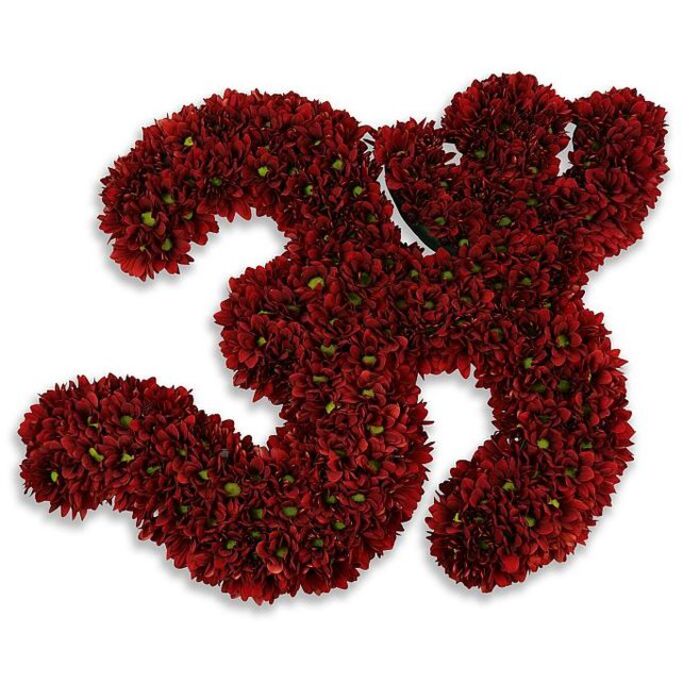 A richly textured floral sculpture forming the figures '33', assembled from hundreds of small, button-like chrysanthemums in a deep burgundy-to-crimson palette. The numerals sit prominently against a pristine white field, every bloom massed so closely that the surface becomes a plush, velvety plane punctuated by tiny, bright green centers that catch light like pinpricks. The two '3's are sculpted with careful contouring - the outer edges rounded, the inner curves tight - creating a readable, substantial presence that feels measured and celebratory. A faint, diffused gray shadow beneath each figure gives the impression the numbers are lifted slightly from the background, introducing soft, elegant depth without distraction. As an experienced florist working near East Finchley High Road, I picture this piece at milestone gatherings or anniversary events across the neighbourhood: a 33rd birthday display outside a local café, a commemorative installation in a community hall near Fortis Green Road, or a jersey-number tribute at a club celebration. The craftsmanship is visible in the way petals overlap, in the subtle tonal shifts from darker core blooms to brighter rim flowers, and in the disciplined yet tender packing that transforms individual blossoms into a cohesive emblem. Made by East Finchley Flowers, the arrangement carries the calm confidence of fresh, locally sourced stems and a design sensibility tuned to local tastes - restrained, elegant, and immediately recognisable from our window displays by Cherry Tree Wood.