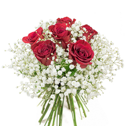 Framed by a crisp white background, this sophisticated bouquet conveys the charm of East Finchley. Six luscious red roses, each at the pinnacle of bloom, offer a velvety cascade of spiraling petals that seem to radiate emotion and warmth. The rich crimson draws the eye, symbolizing enduring love or heartfelt gratitude, while clouds of delicate white baby's breath surround each bloom, adding a soft, ethereal quality reminiscent of morning mist along Fortis Green. The interplay between the deep reds and the misty gypsophila brings a sense of renewal and hope, as if sunlight is breaking through a gentle fog. Below, the fresh green stems are gathered together, hinting at the care and expertise of a local florist from nearby High Road, ensuring each flower's vitality and beauty remain intact. This arrangement is not only an expression of artistic balance and romantic tradition but also a tribute to East Finchley's welcoming spirit-ideal for special celebrations, thoughtful gestures, or simply sharing the joy of flowers with those you cherish.