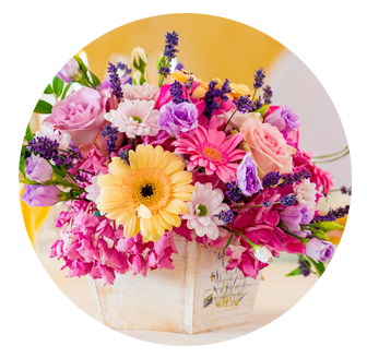 Birthday Flowers East Finchley